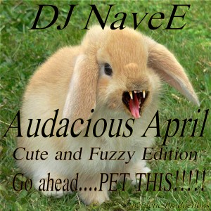 You Know You Wanna Pet Him